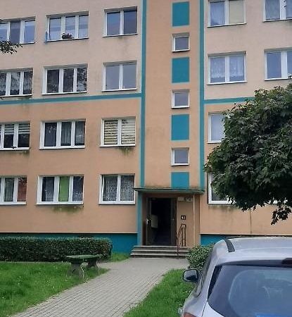 Flowers Apartament Lejlighed Piła Eksteriør billede